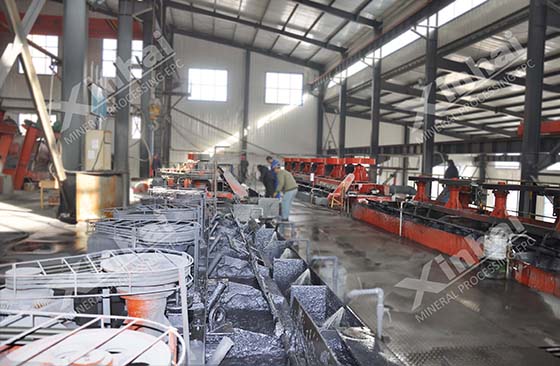 floation cell scraper.jpg floation cell scraper in working site